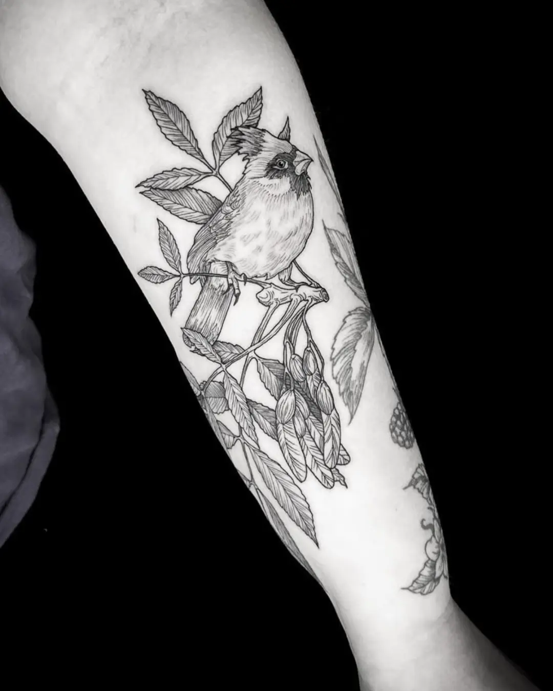 Portfolio Fine Line Tattoo Black Ink