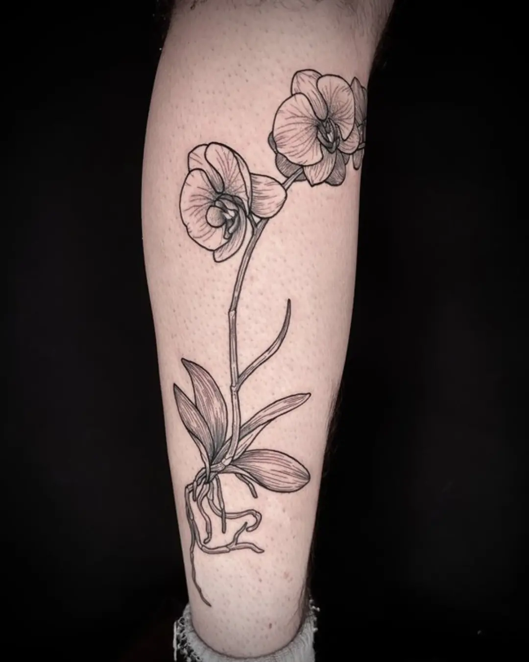 Portfolio Fine Line Tattoo Ideas