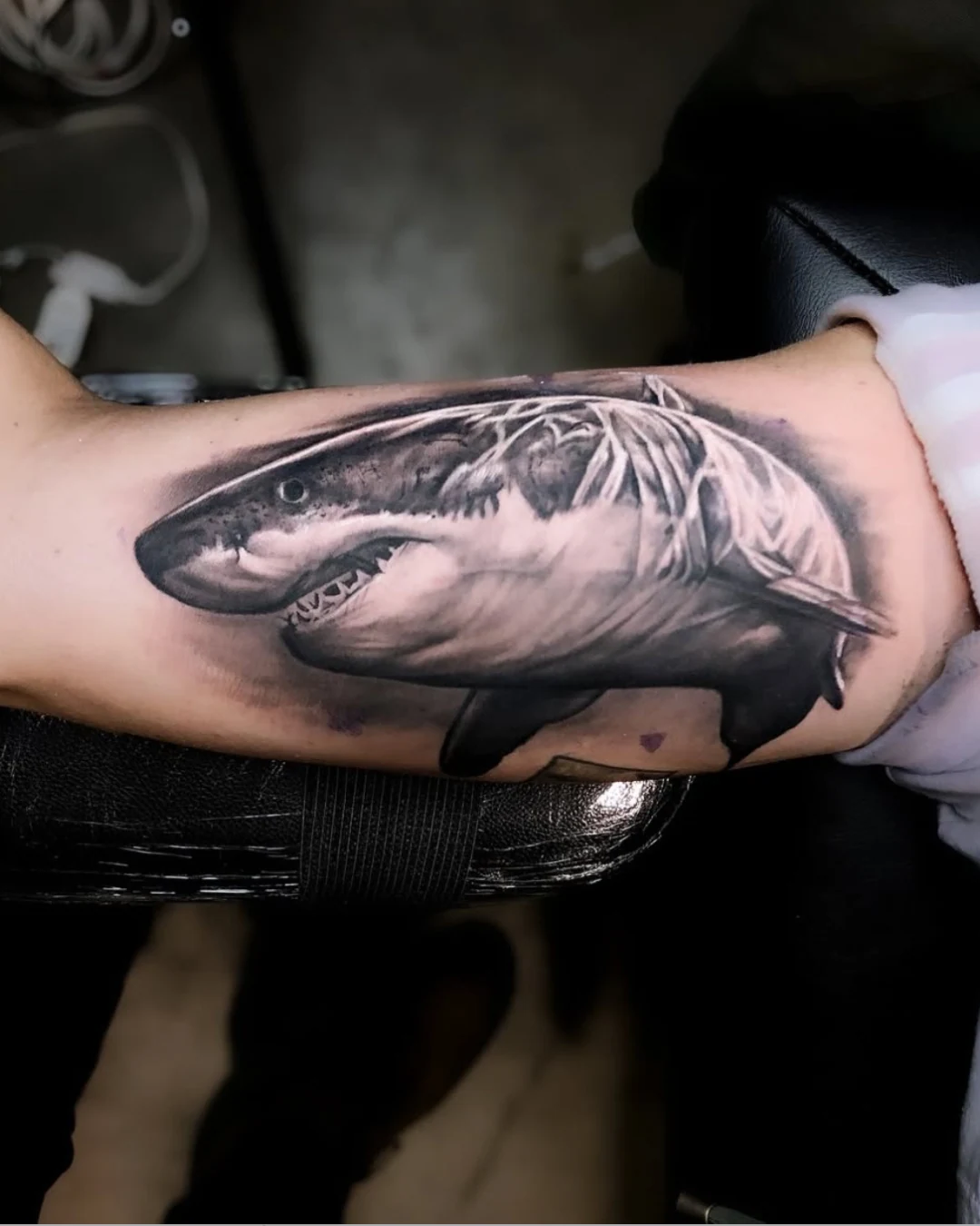 black and grey shark tattoo