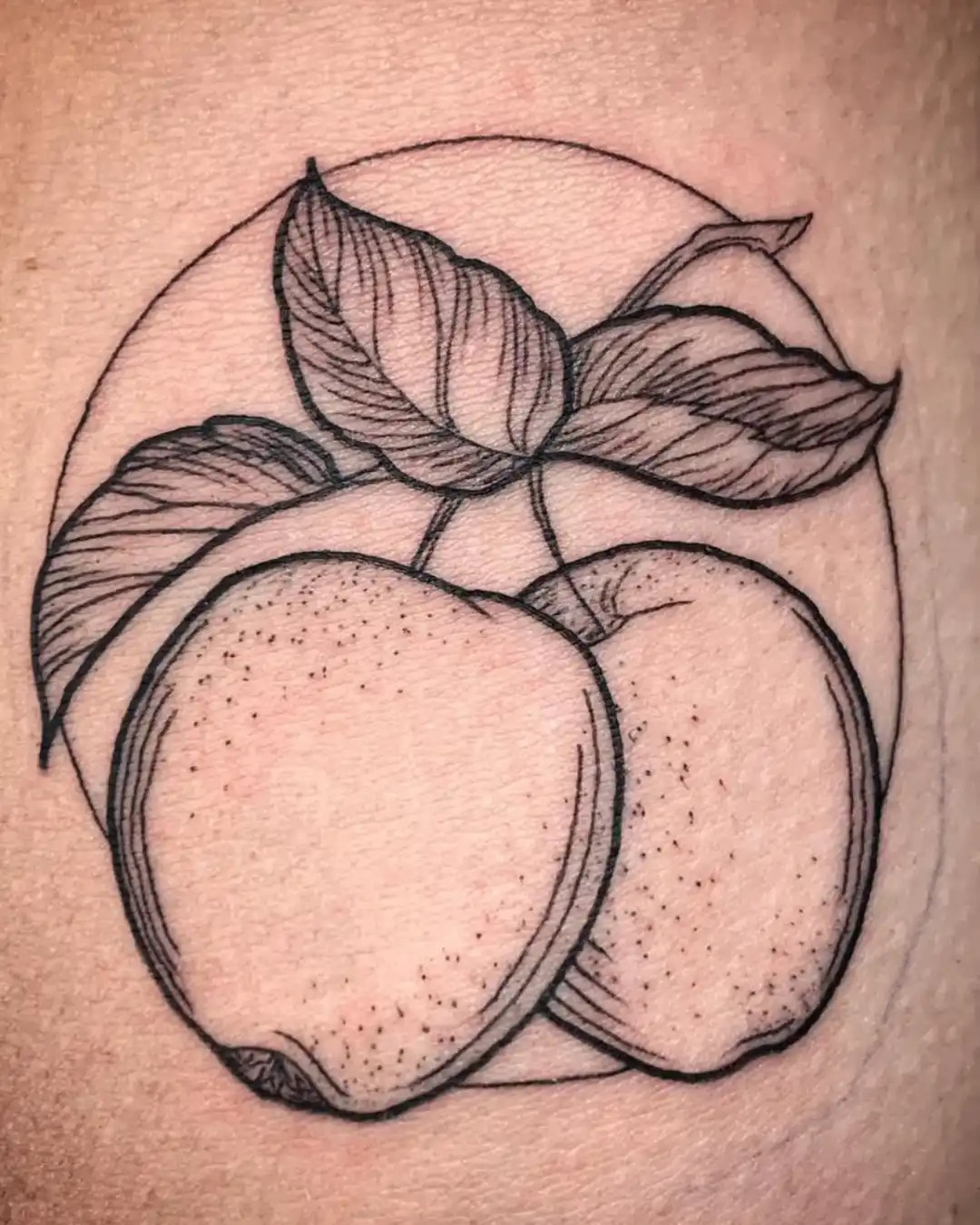 Portfolio Animal Fine Line Tattoos Chicago