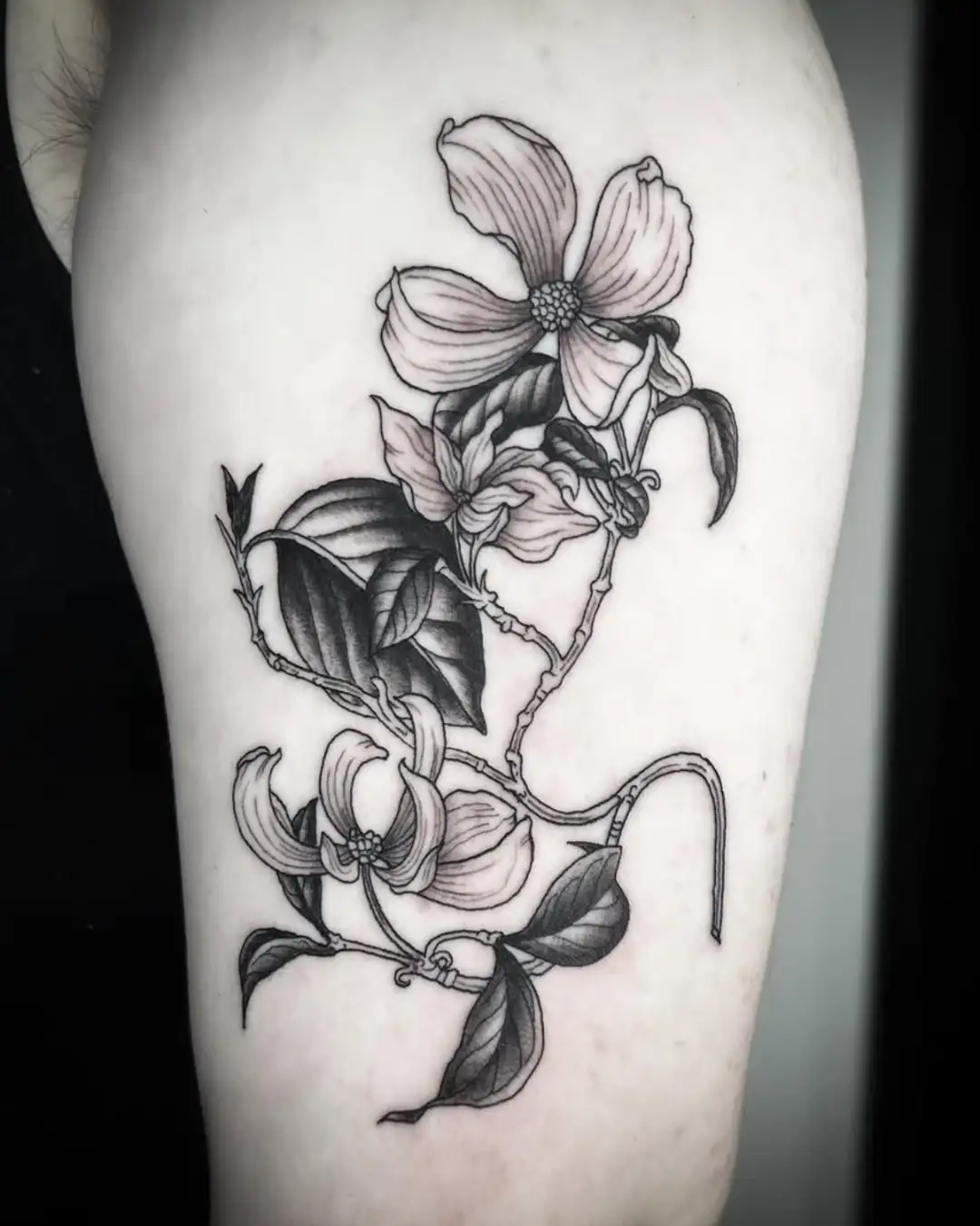 Portfolio Fine Line Tattoo Black Ink Chicago