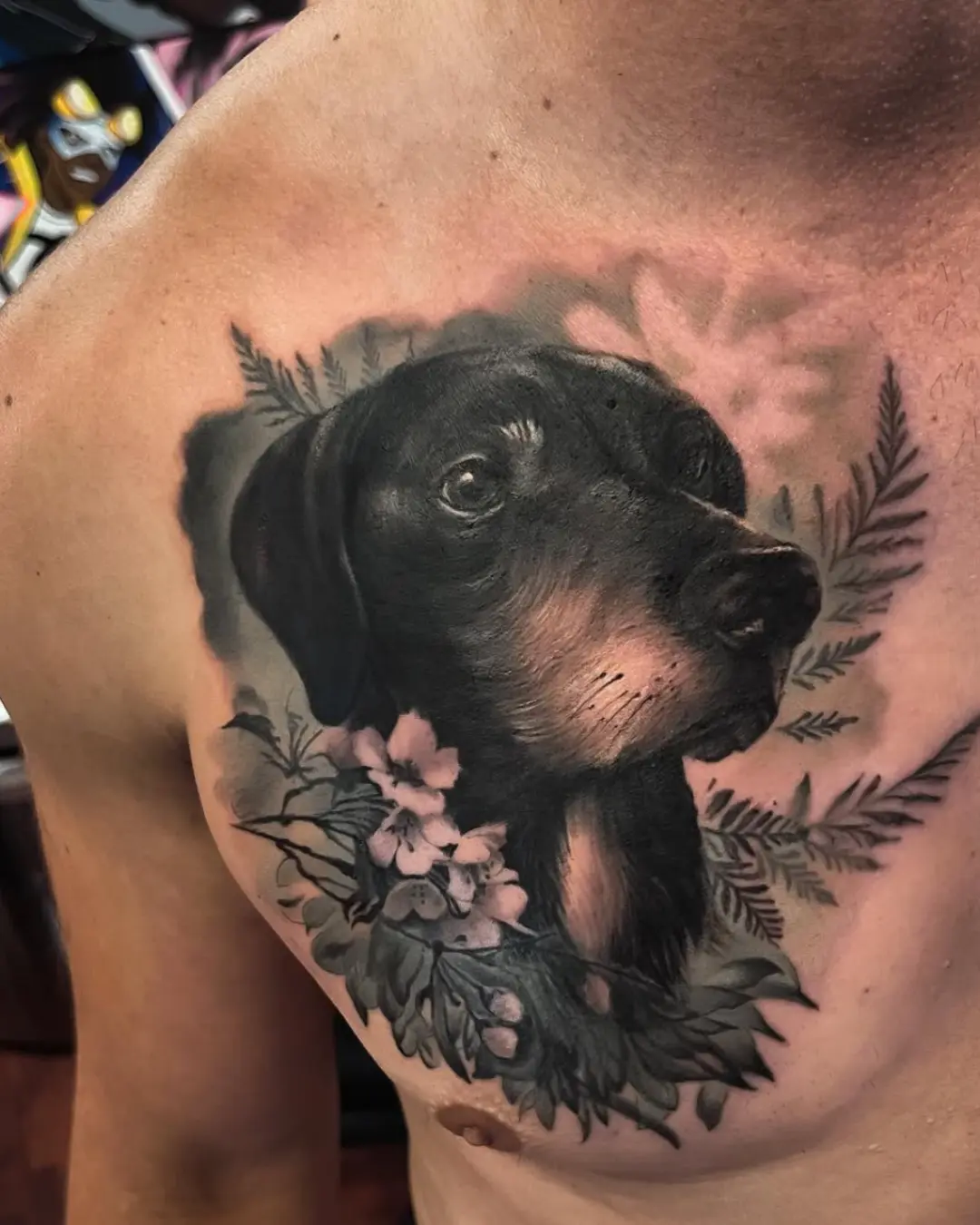 Pet Portraits: A Personal Touch