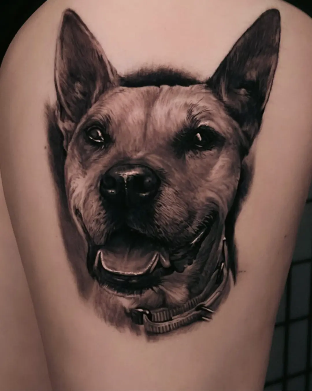 Animal portrait realism tattoos Chicago