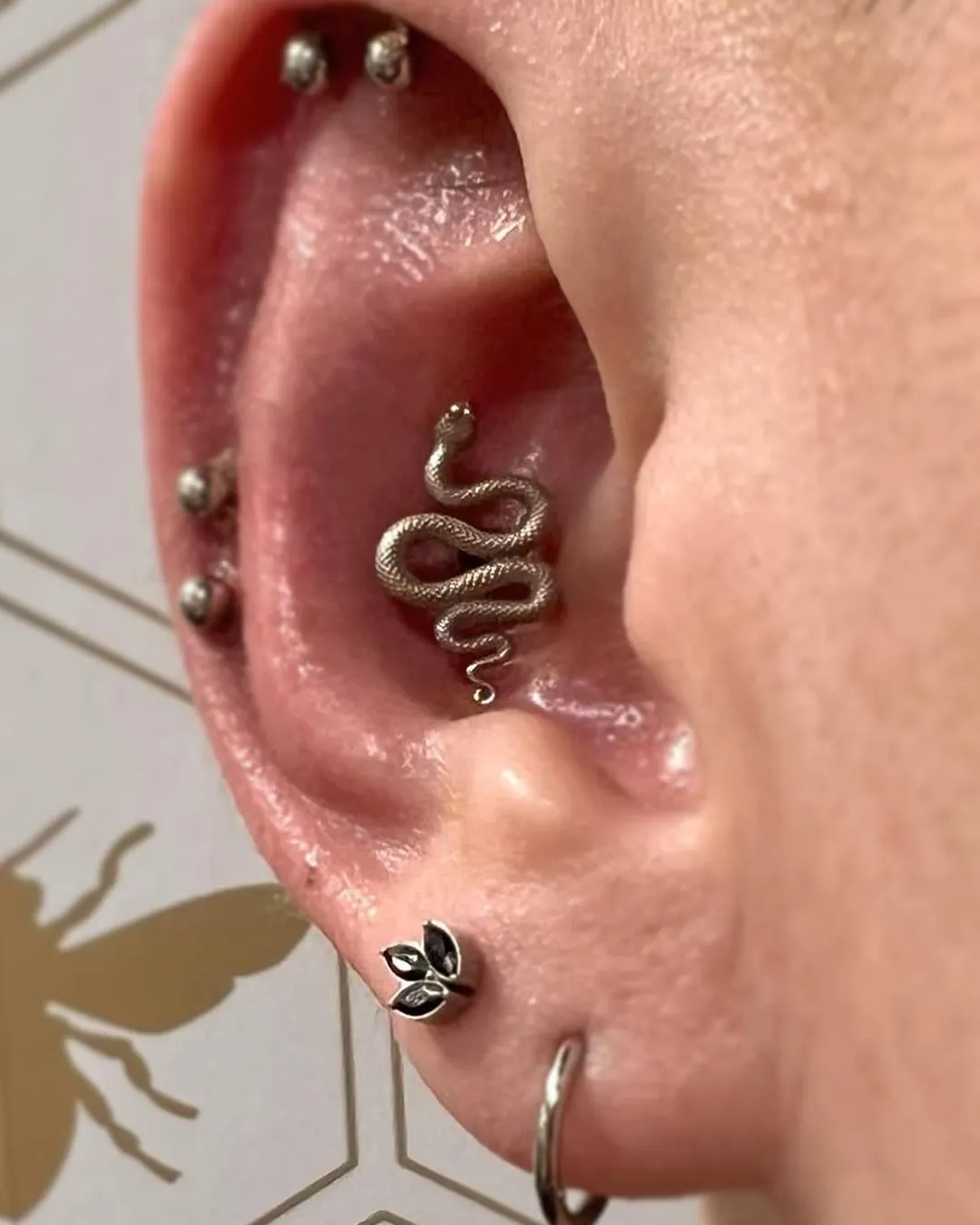 madeline kelso conch piercing snake jewelry