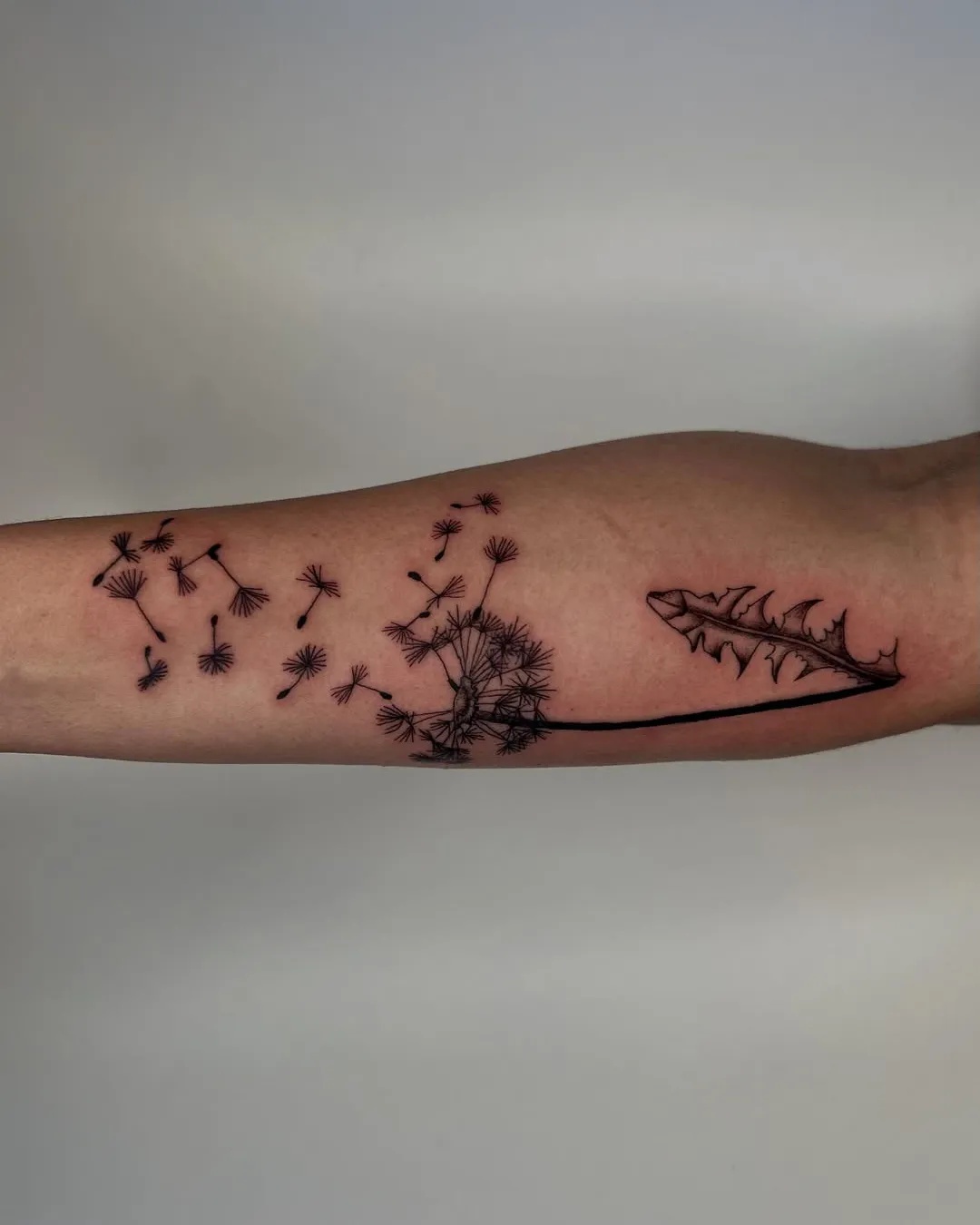 molly kelso fine line minimalist tattoo chicago