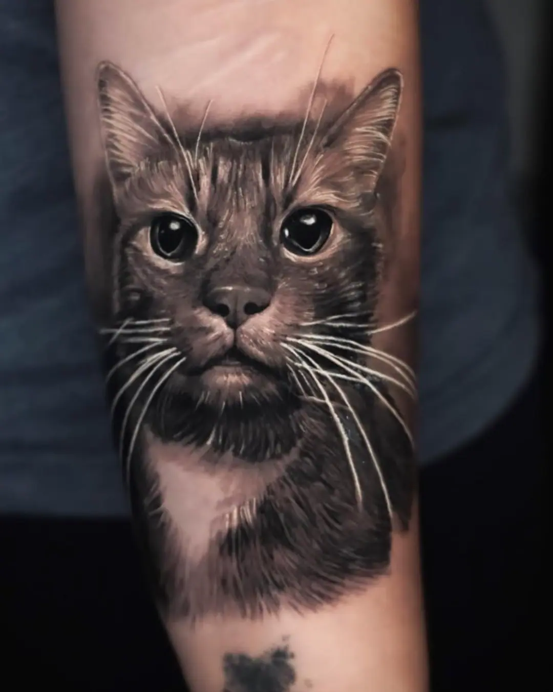 Animal tattoo Chicago cat tattoo fortune-bringing with sacred independence