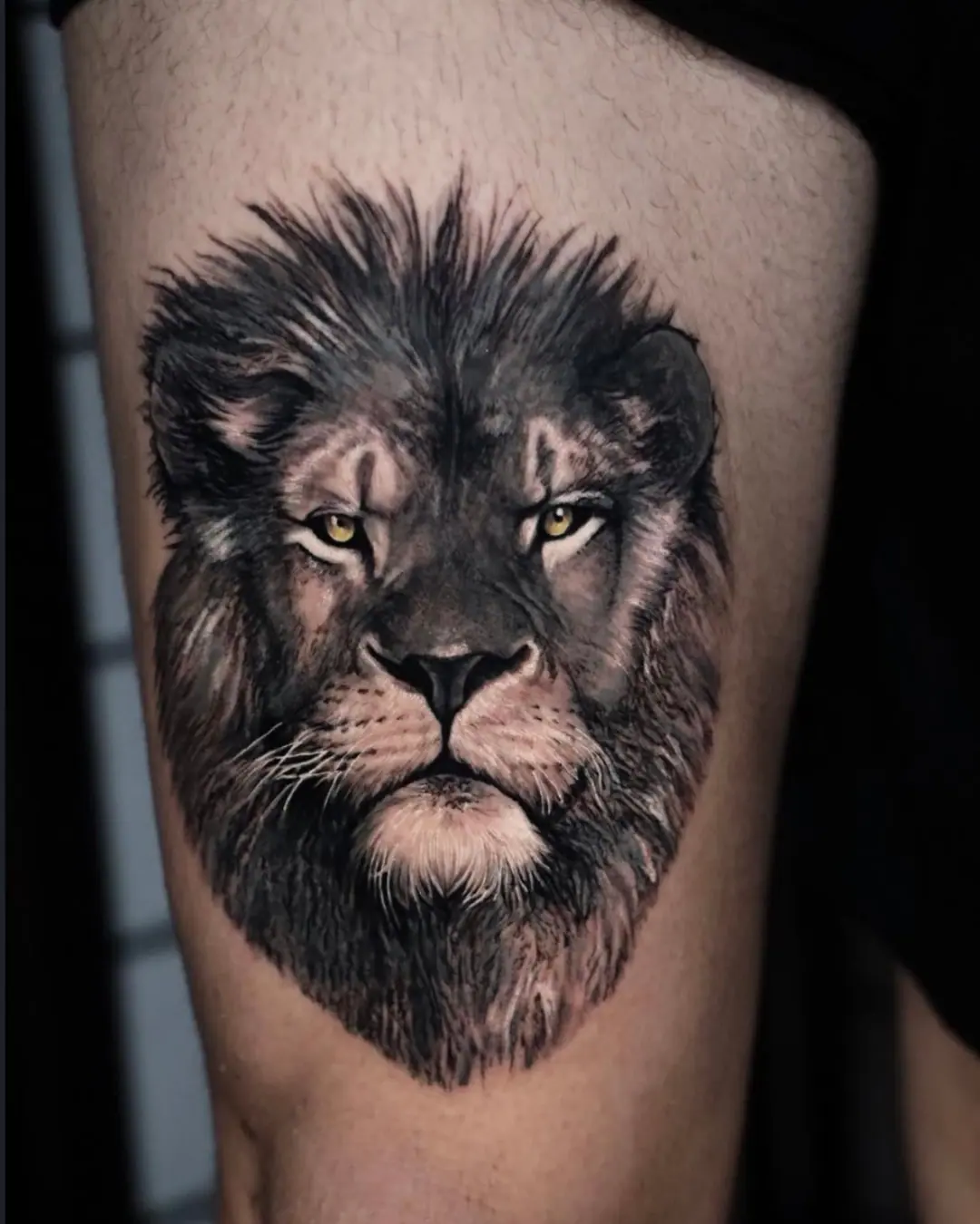 Animal tattoo Chicago lion tattoo