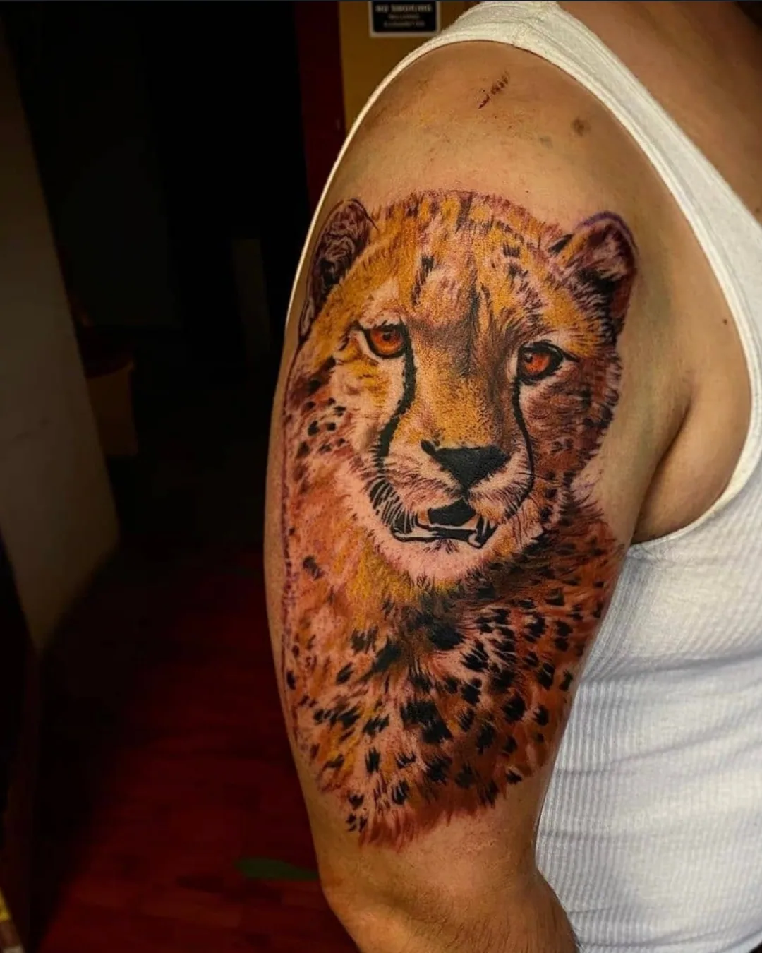 Animal tattoo Chicago tiger tattoo magical design highlighting strength and spirituality