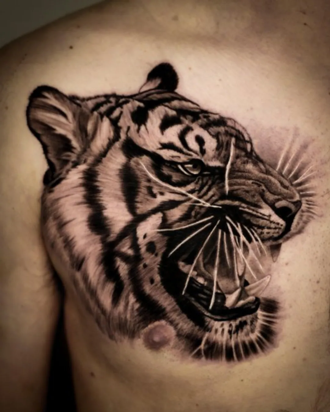 Animal tattoo Chicago tiger tattoo spirituality and courage