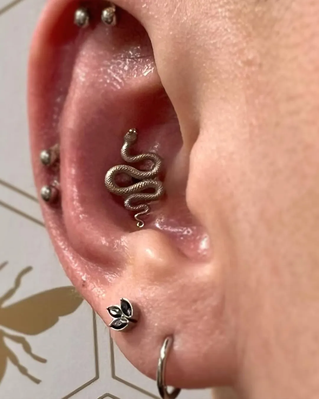 body piercing rook snake ear piercing chicago shops