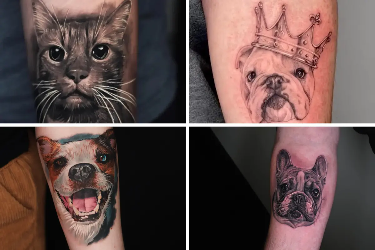 black and grey dog portrait tattoo next to a color cat portrait tattoo